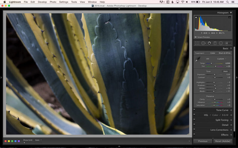 تنظیم روشنایی تصویر در لایتروم