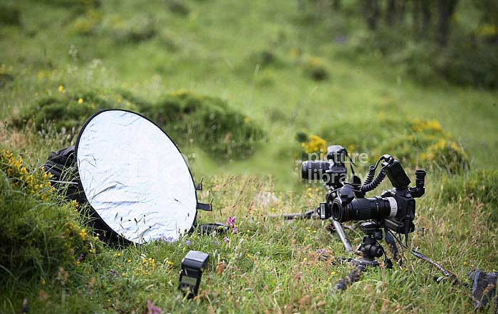 نورپردازی ماکرو