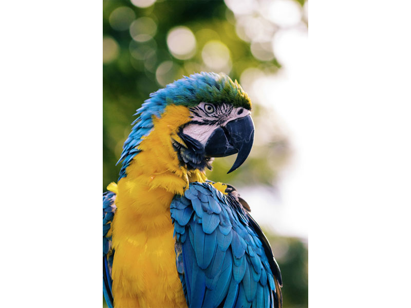 رنگهای متضاد