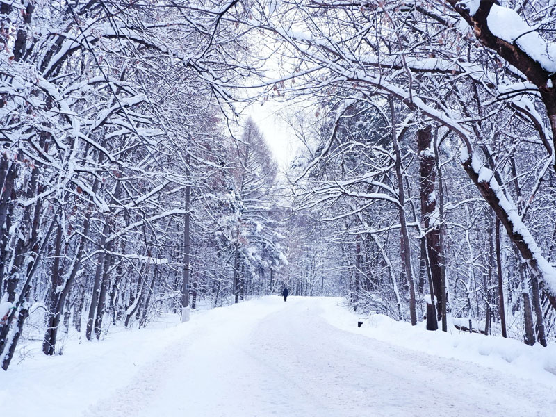 عکاسی در زمستان