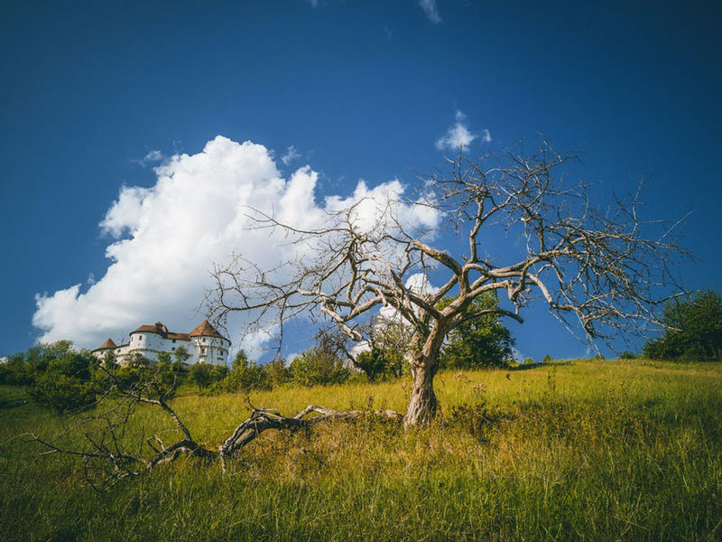 عکاسی منظره با موبایل