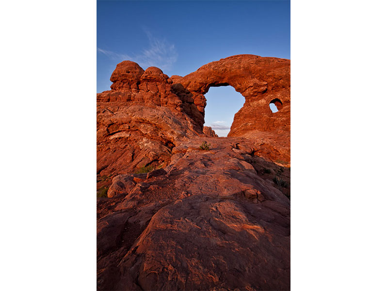 تارشدن عکسها