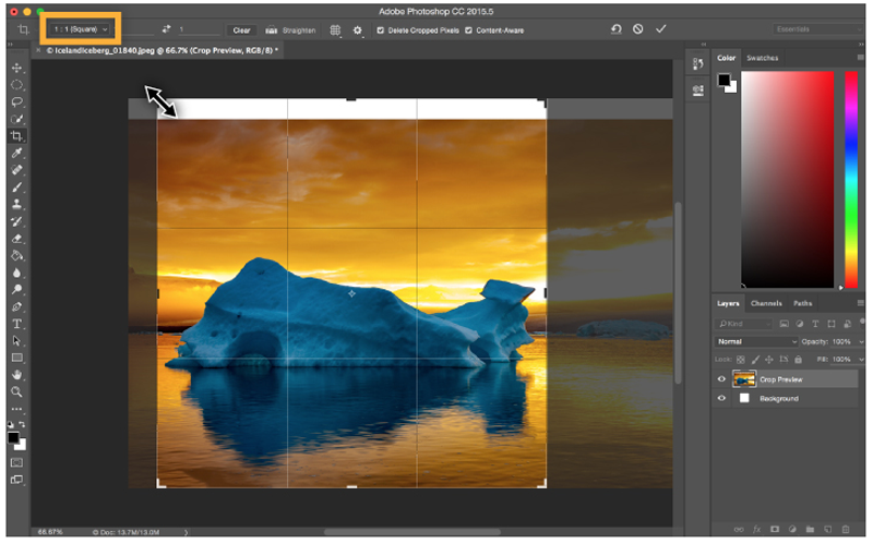 عکاسی شبکات اجتماعی