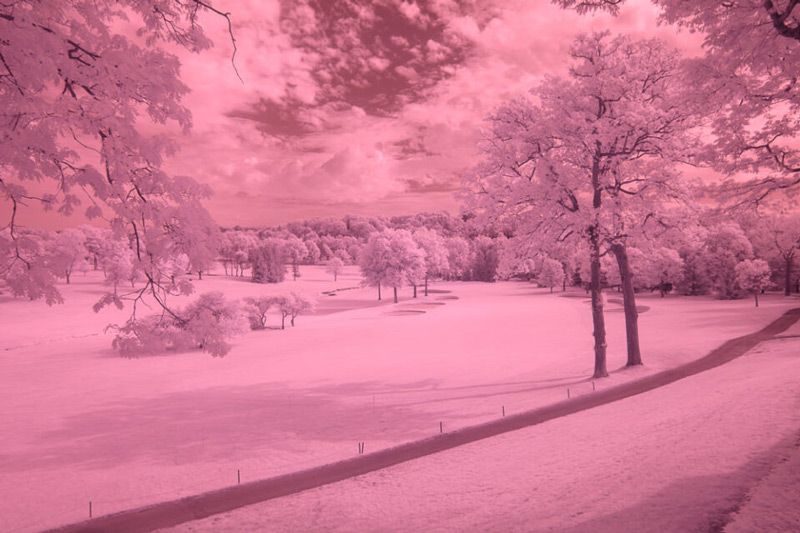 عکاسی مادون قرمز