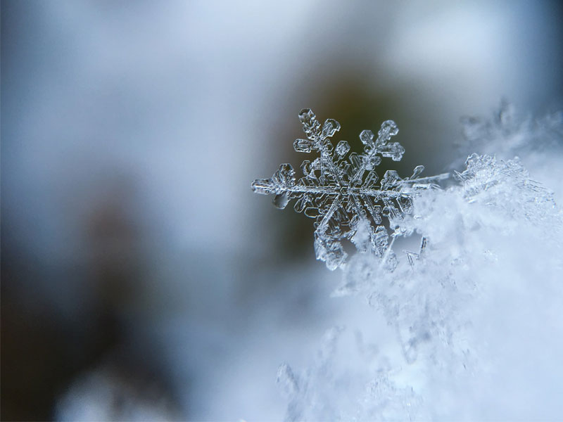 عکاسی در زمستان