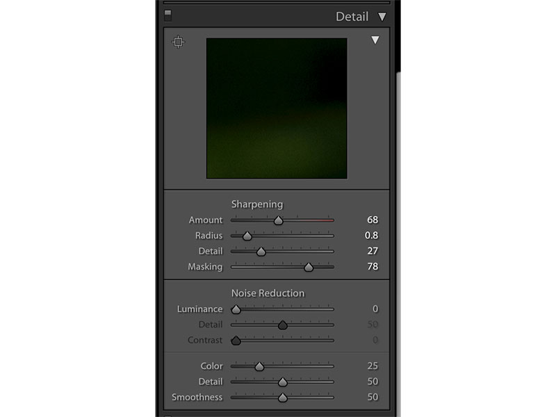 ادیت عکسهای ماکرو