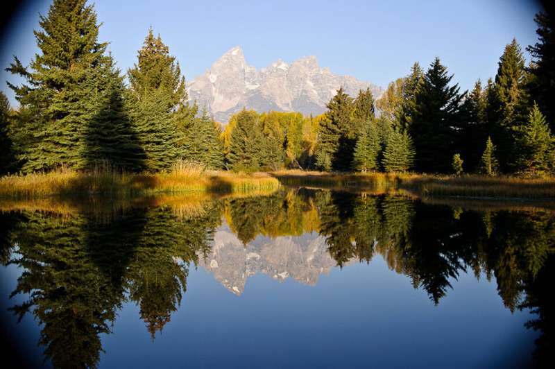 کراپ فاکتور