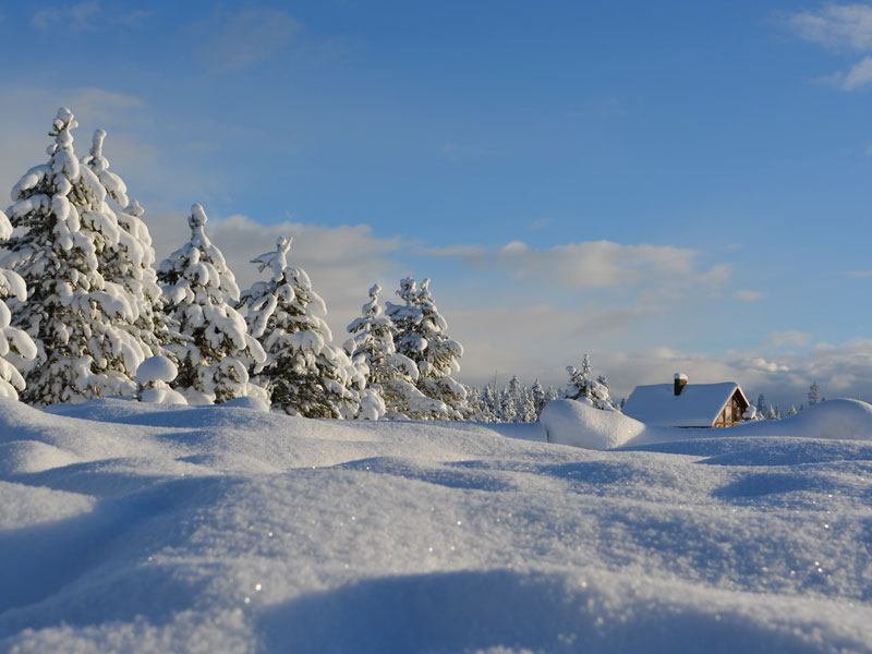 عکاسی در زمستان