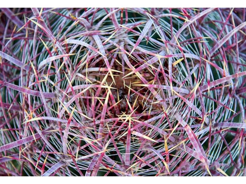 تارشدن عکسها