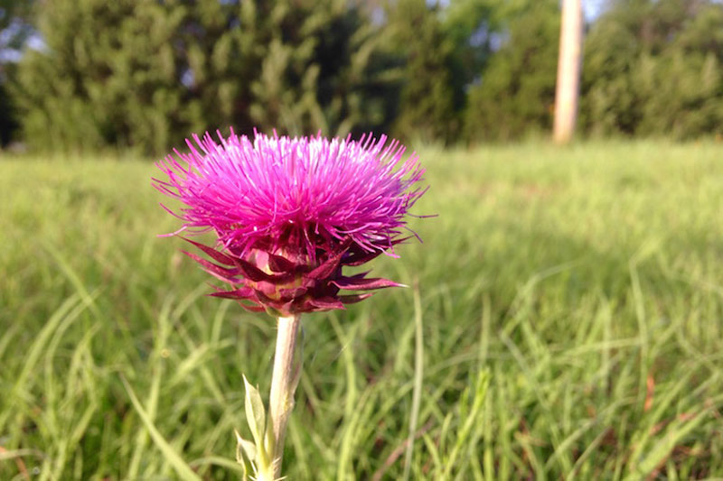 عکاسی با بودجه کم