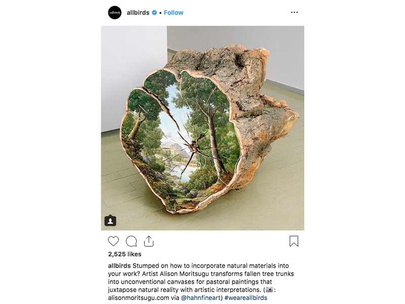 عکاسی شبکات اجتماعی