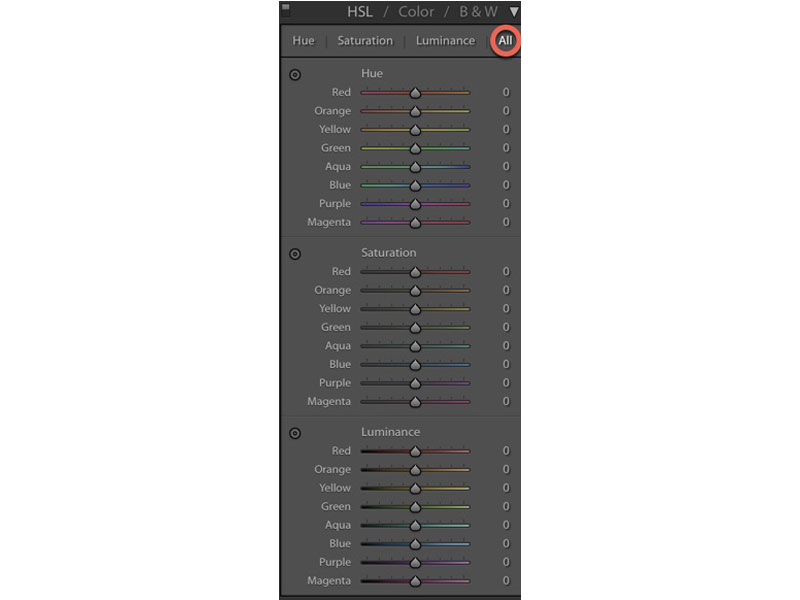 ویرایش عکاسی از غذا