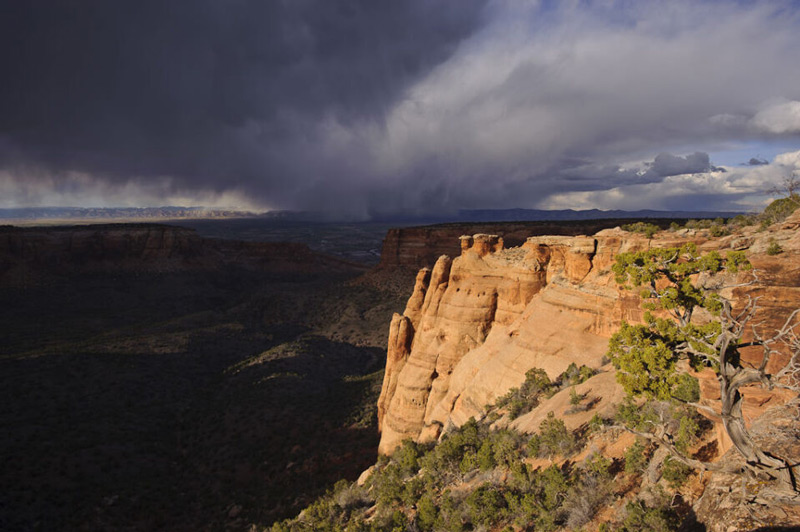 انتخاب برند دوربین