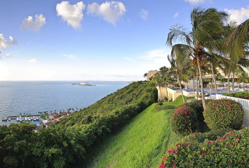 انتخاب برند دوربین