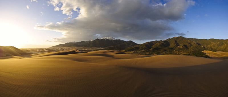 انتخاب برند دوربین