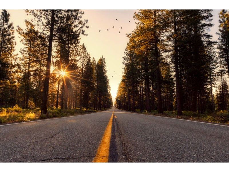 پرسپکتیو در عکاسی