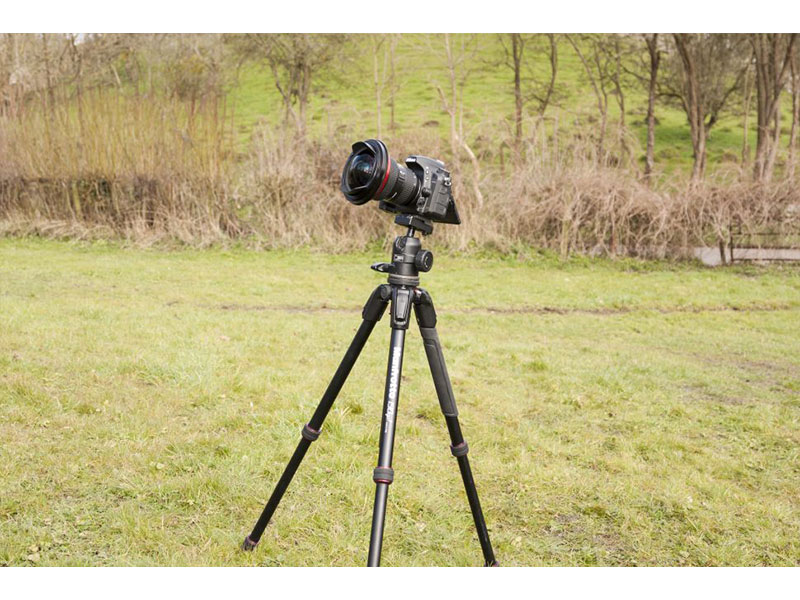 پرتره بارانی