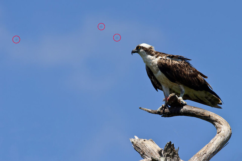 تشخیص گرد و غبار روی سنسور