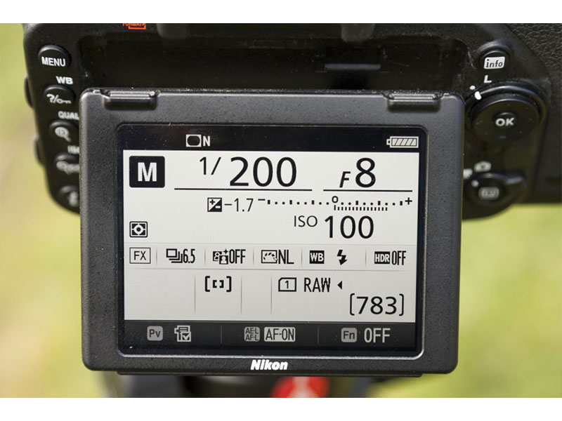 پرتره بارانی