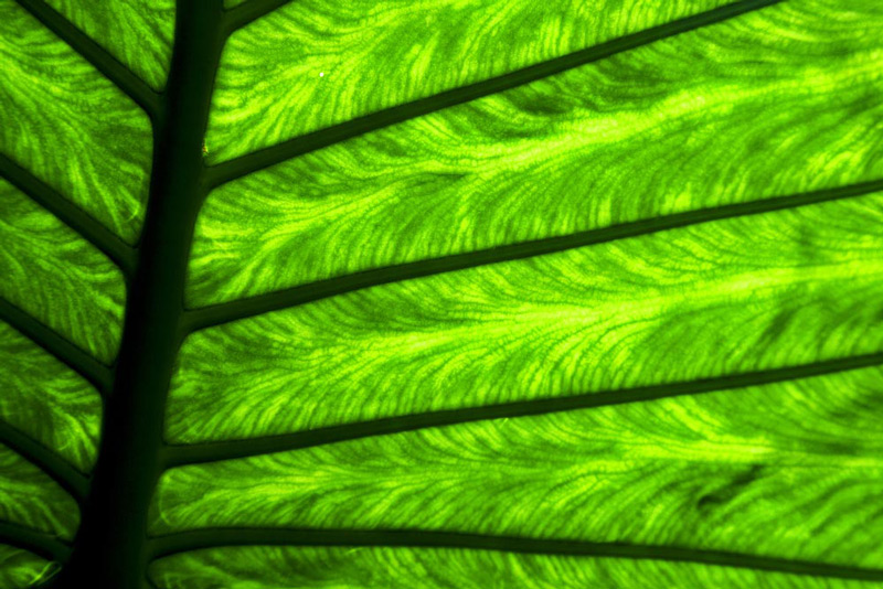 عکس انتزاعی