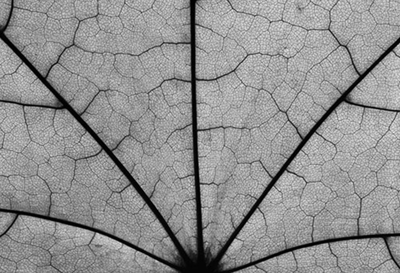 عکس انتزاعی