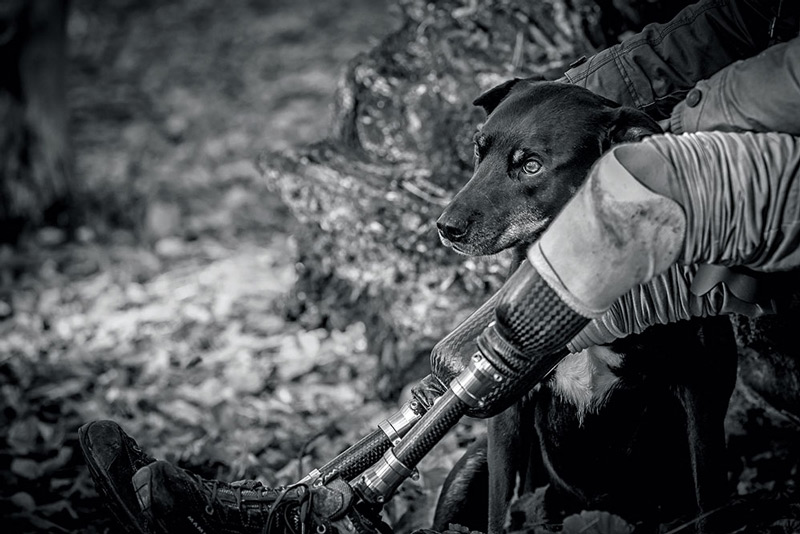 نکات عکاسی برای تازه کارها