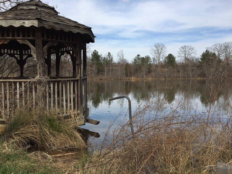 نکات عکاسی برای تازه کارها