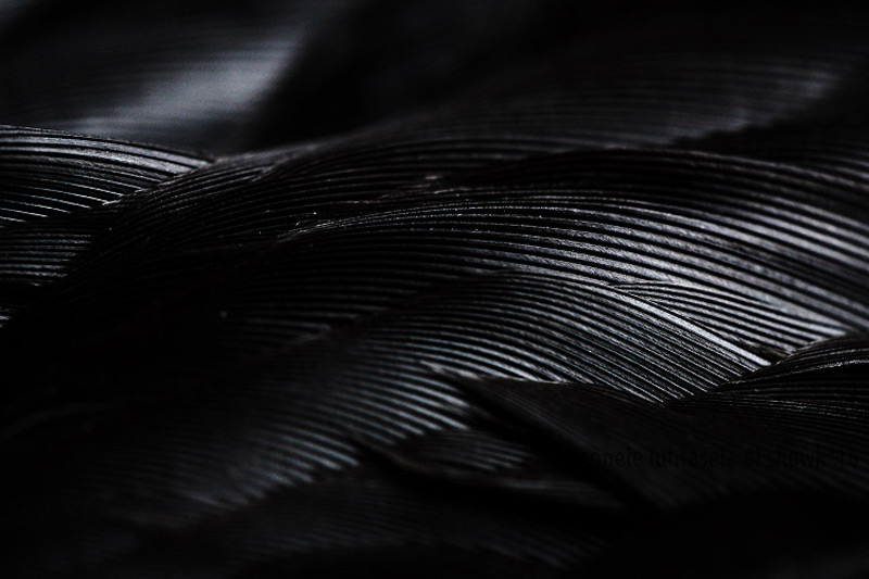 عکاسی انتزاعی از طبیعت