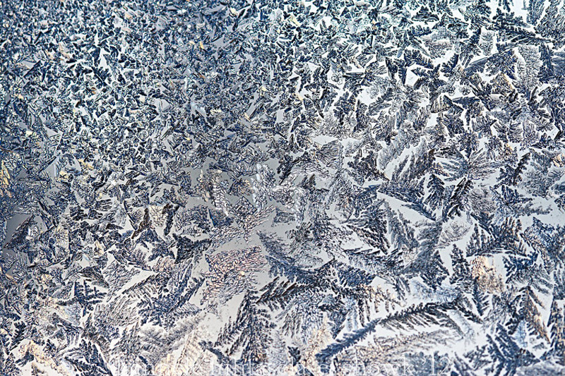 عکاسی انتزاعی از طبیعت