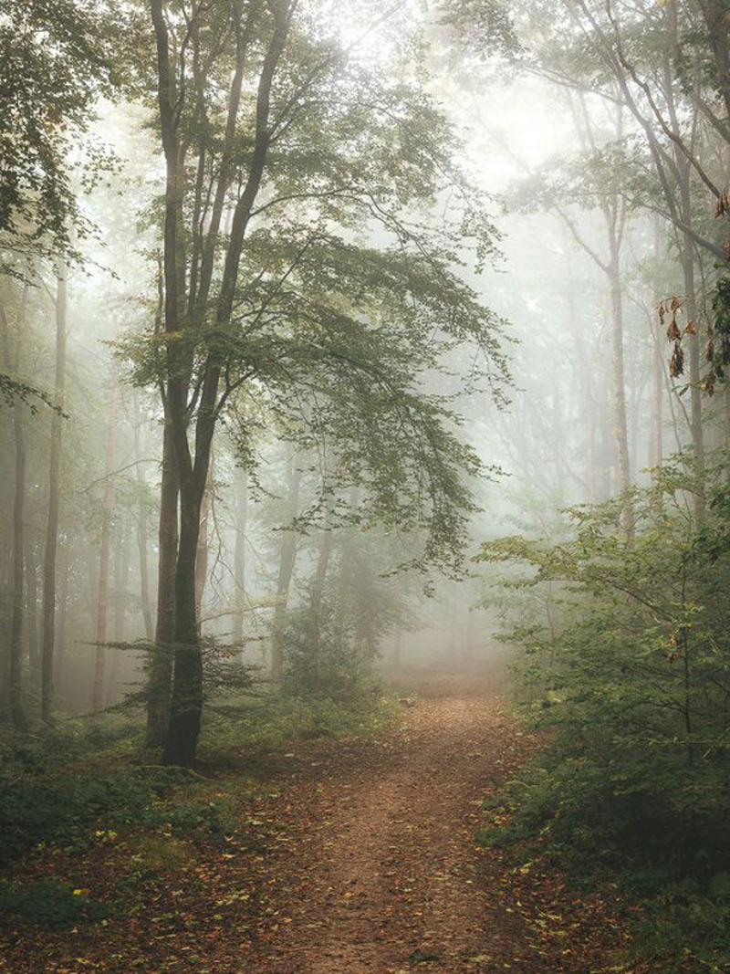 عکاسی در هوای بارانی