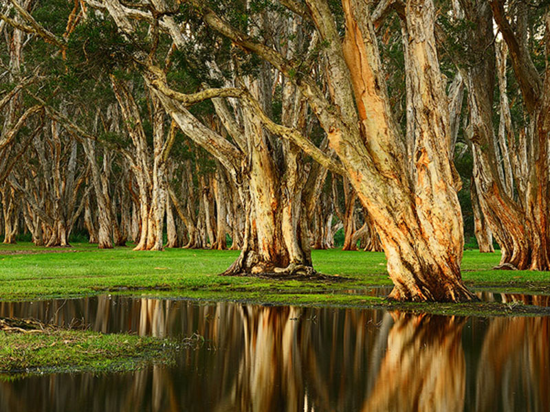 برنامه ریزی در عکاسی از منظره