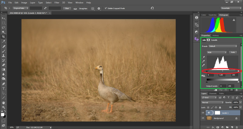 کنتراست عکاسی