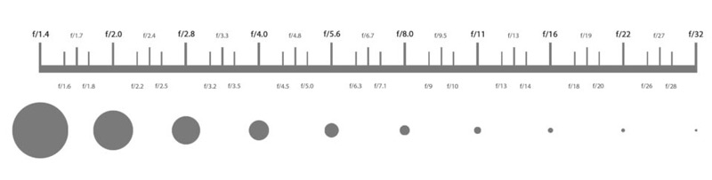 گام های نوردهی