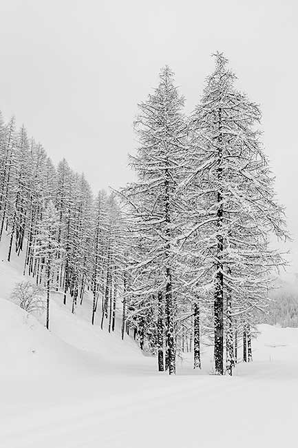 عکاسی در روز برفی