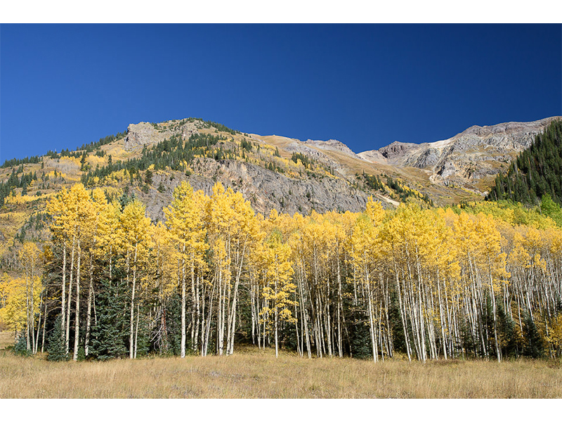 عکاسی با فیلتر پولاریزه دایرهای