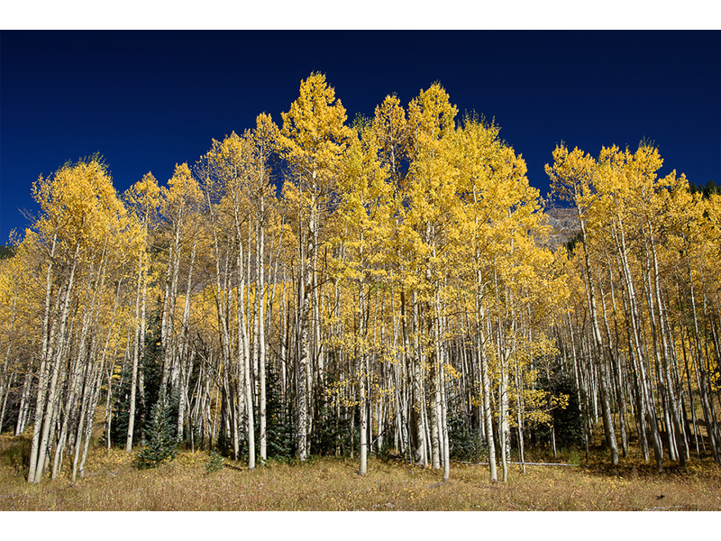 عکاسی منظر با فیلتر پولاریزه دایرهایه