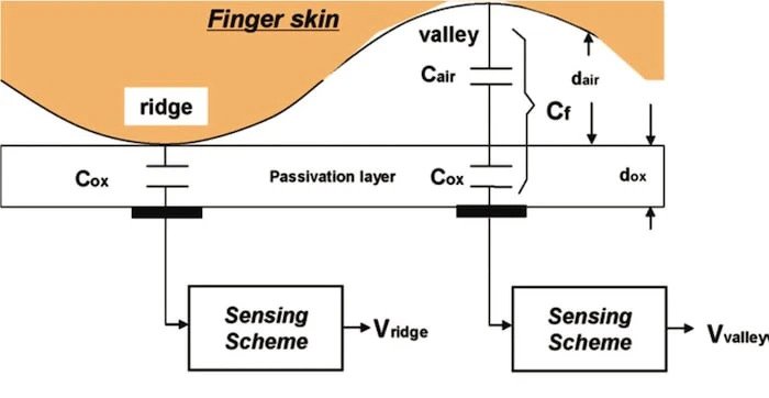 حسگر اثر انگشت خازنی