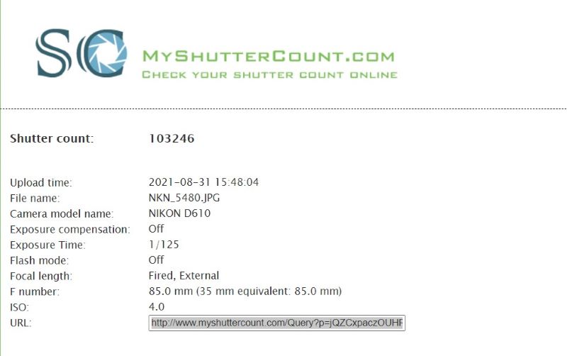 تعداد شاتر را بررسی کنید