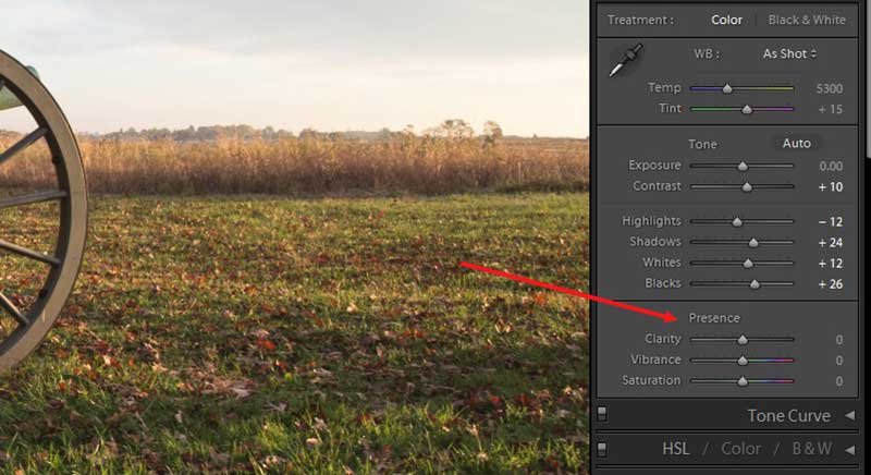 مقایسه زمان استفاده از Vibrance و Saturation