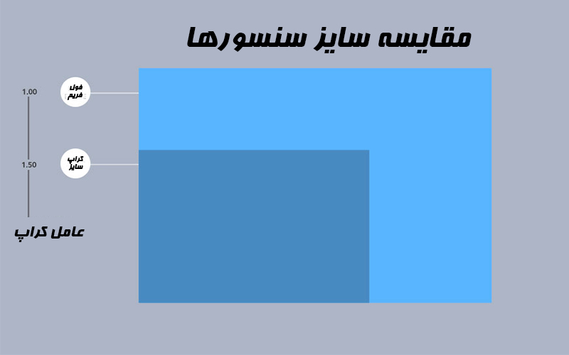 اندازه سنسور در انواع DSLR