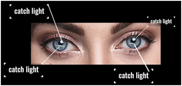 Catch Light