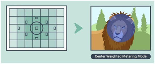 Center-Weighted Metering - نورسنجی مرکزگرا