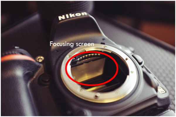 Focusing Screen