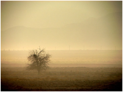 Vignetting - تاریکی گوشههای تصویر