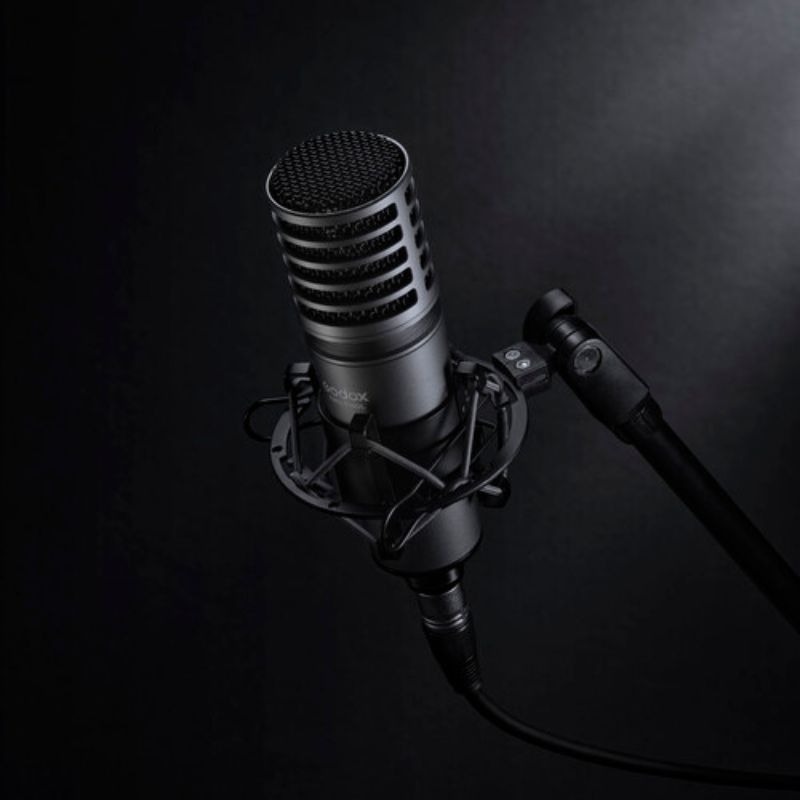 میکروفون گودکس Godox XMic 100GL Large-Diaphragm Condenser XLR Microphone