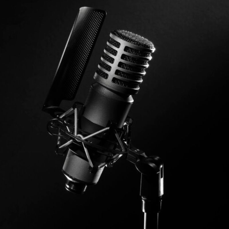 میکروفون گودکس Godox XMic 100GL Large-Diaphragm Condenser XLR Microphone