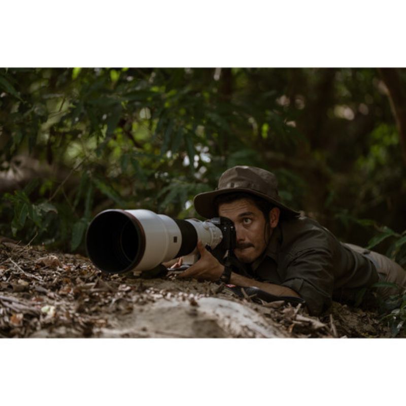 دوربین بدون آینه سونی Sony a1 II Mirrorless Camera Body