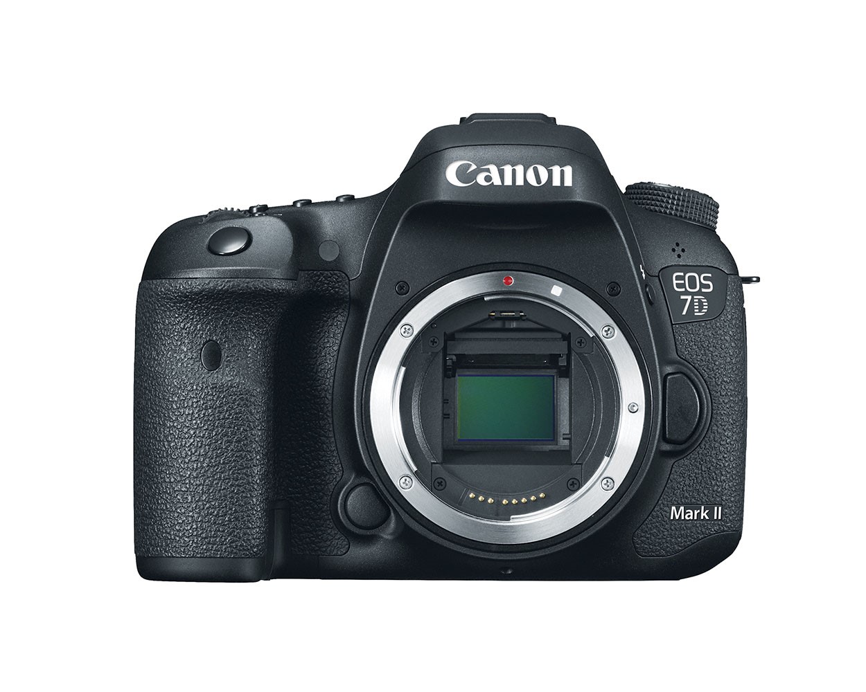 canon 8d mark 2