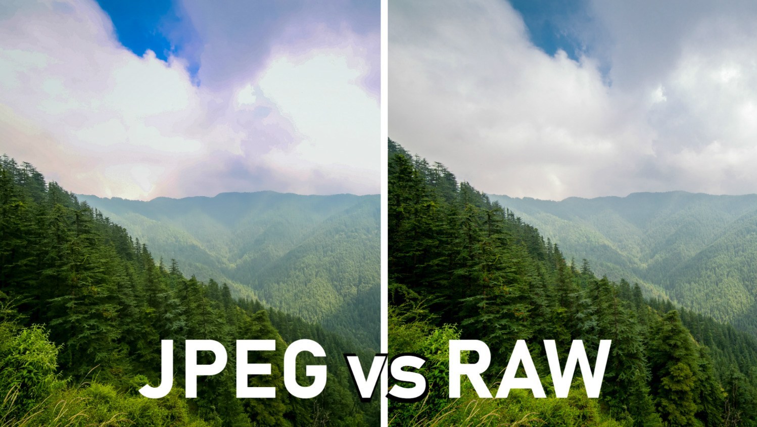 تفاوت عکس JPEG و عکس RAW