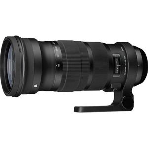 لنز سیگما Sigma 120-300mm for Nikon